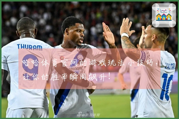 哈哈体育官网的游戏玩法小技巧,让你的胜率瞬间飙升!