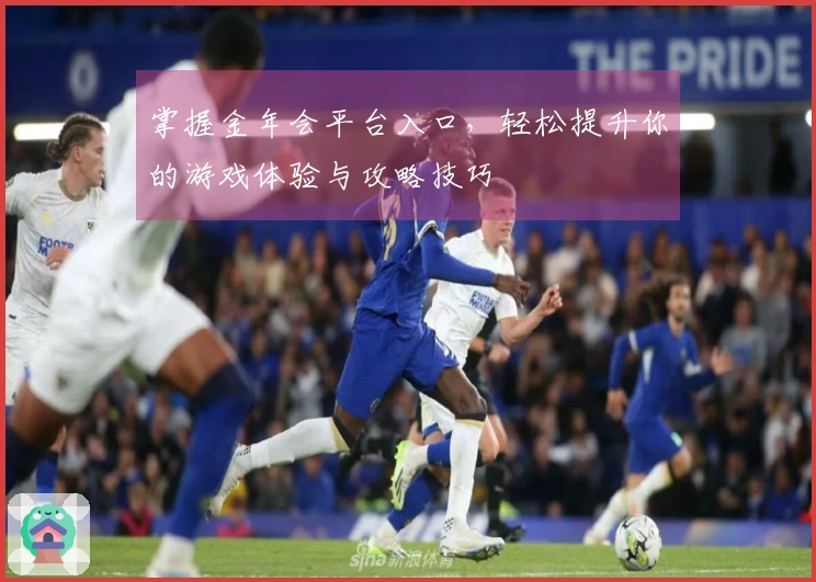 掌握金年会平台入口，轻松提升你的游戏体验与攻略技巧