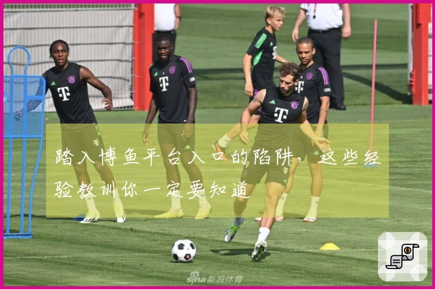 踏入博鱼平台入口的陷阱，这些经验教训你一定要知道